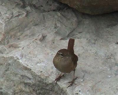 Прикрепленное изображение: 006.jpg